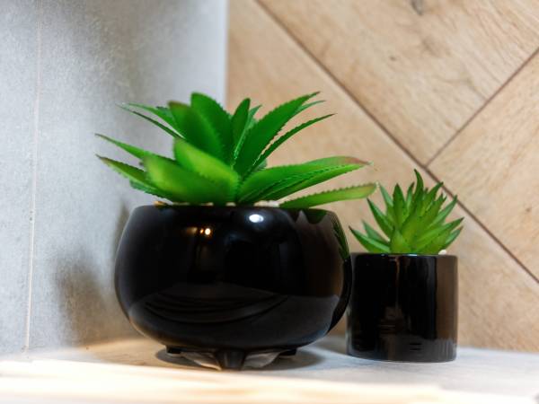 Apartamenty Tatrzańskie Doliny - Zakopane Centrum 