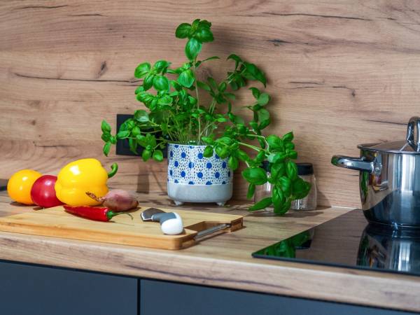 Apartamenty Tatrzańskie Doliny - Zakopane Centrum 