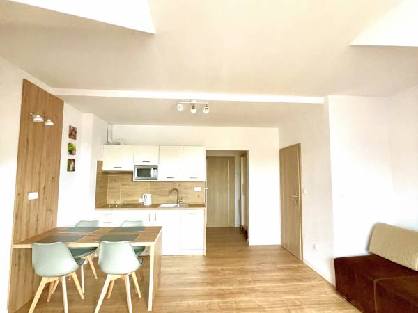 Apartament na drugim piętrze- pokój dzienny z aneksem kuchennym