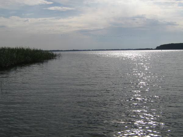 woda z wszystkich stron w dziwnowie