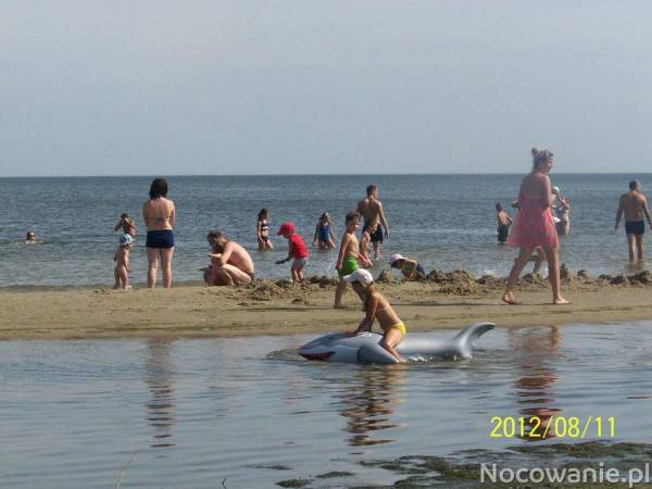 Pokoje i domki Polna Dolina