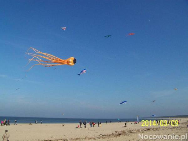 Pokoje i domki Polna Dolina