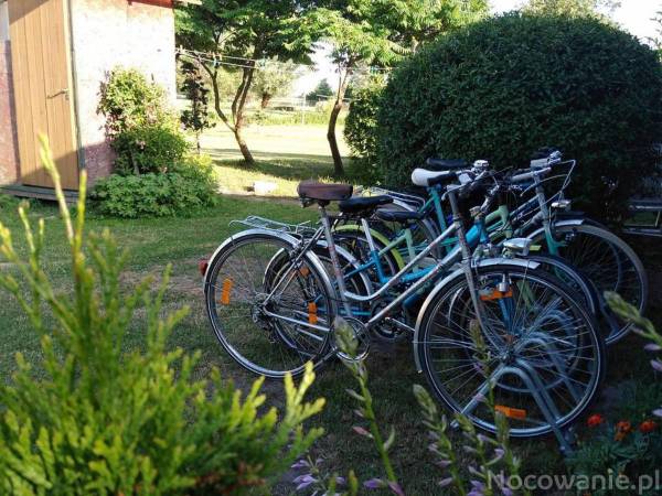 Pokoje i domki Polna Dolina