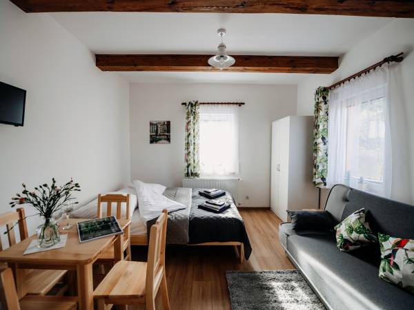 Apartament 4-osobowy przystosowany dla osób niepełnosprawnych