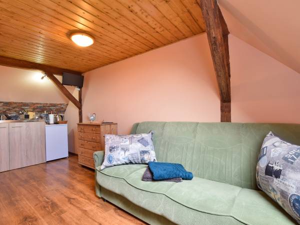 POKOJE GOŚCINNE ,,POD SKAŁKAMI" Z ŁAZIENKAMI I ANEKSAMI KUCHENNYMI