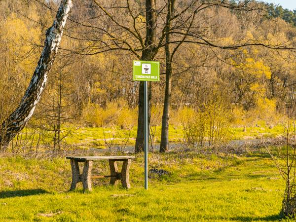 Miejsce do grillowania w Myślenicach