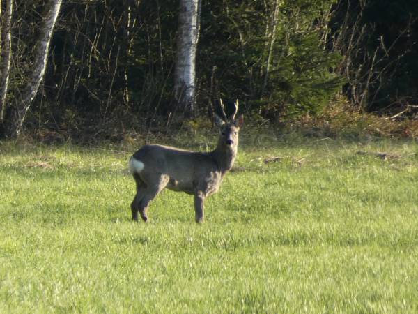 Dom na Końcu Tęczy