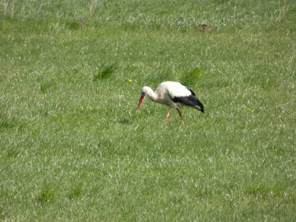 Dom na Końcu Tęczy