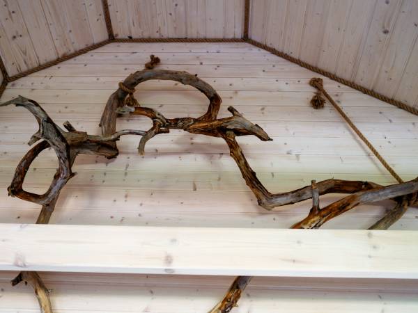 Domki Letniskowe- Linowe Domki