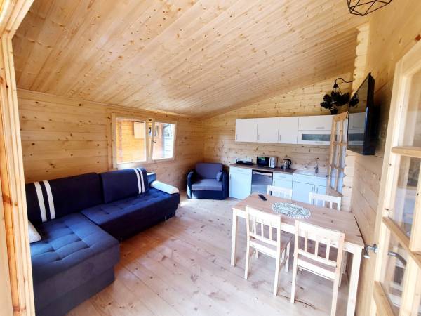 salon z aneksem kuchennym