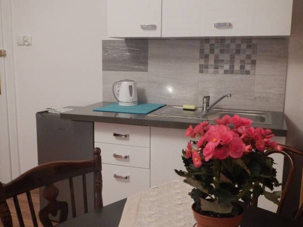 Apartament ośmio / osobowy dwupokojowy - aneks kuchenny