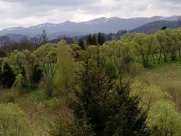 Widok z tarasu na panoramę Bieszczad