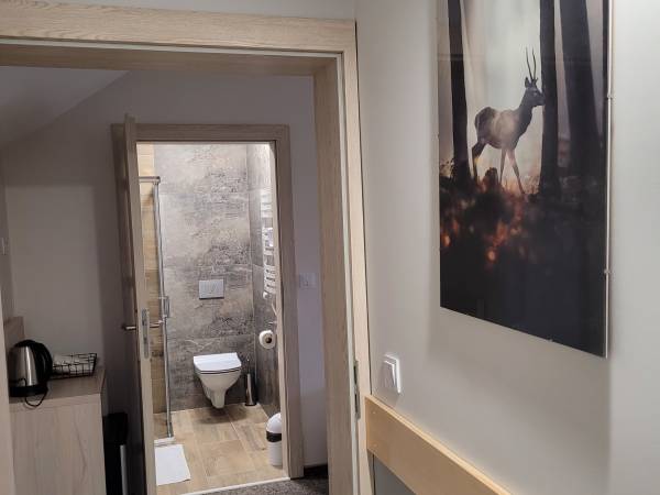 Karolowy Pokoje & Apartamenty