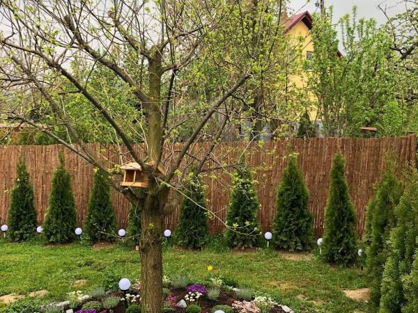 Dom Wakacyjny Gajówka z ogrodem na wyłączność