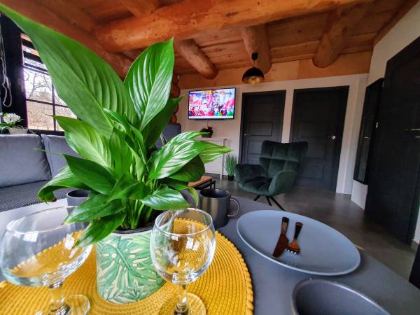 Apartamenty i pokoje gościnne nad jeziorem, noclegi