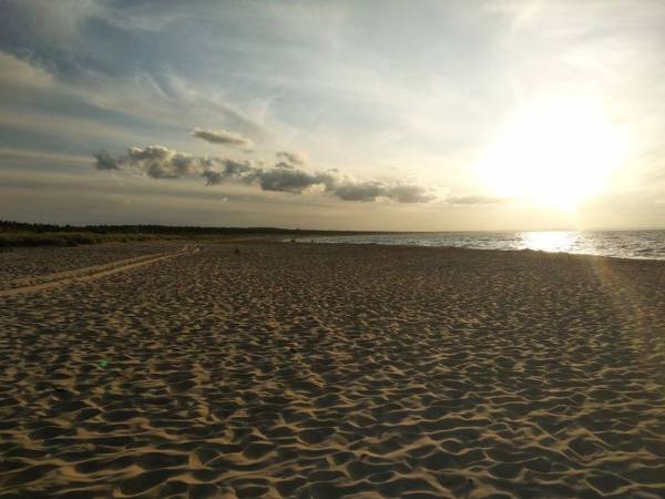 szeroka dzika plaża