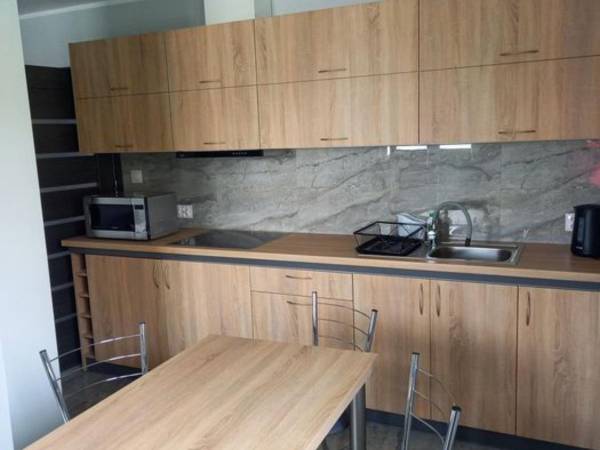 kuchnia w apartamencie