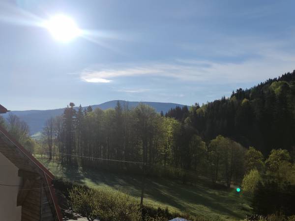 Apartamenty w Kletnie