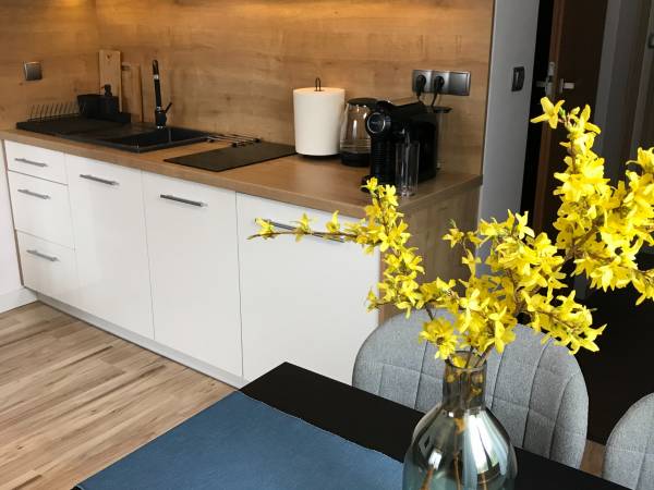 aneks kuchenny - AP 1