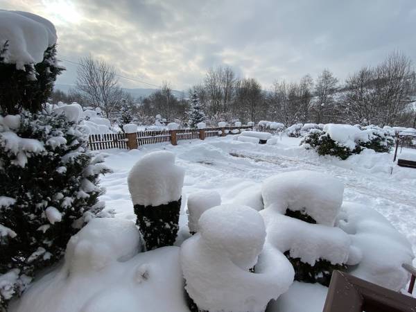 Dom do wynajęcia Zawojski Zakątek