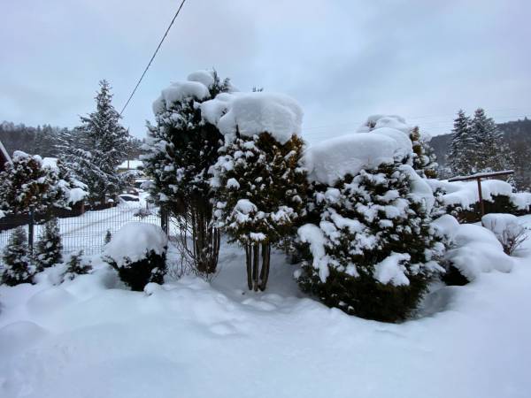 Dom do wynajęcia Zawojski Zakątek