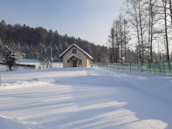 Domek w zimowej scenerii