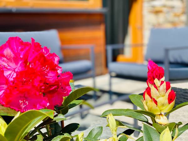 Apartamenty Piwniczna