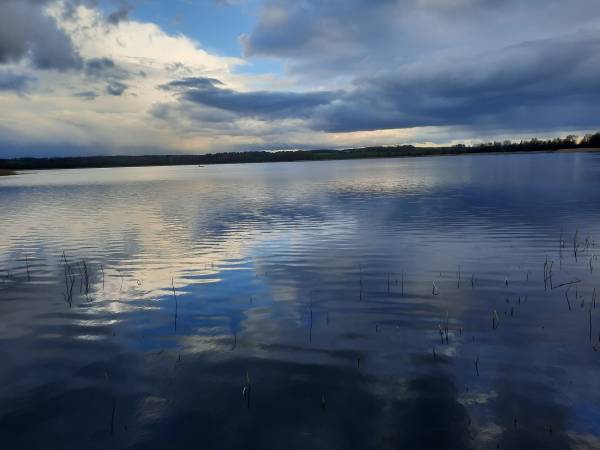 Domki nad jeziorem Silec z własną linią brzegową