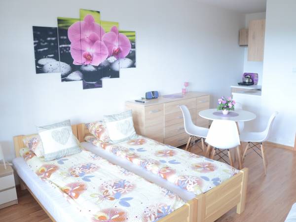 Domki i Pokoje nad Soliną 