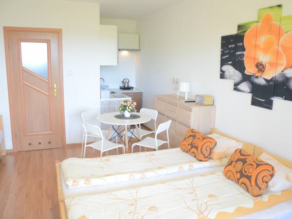 Domki i Pokoje nad Soliną 