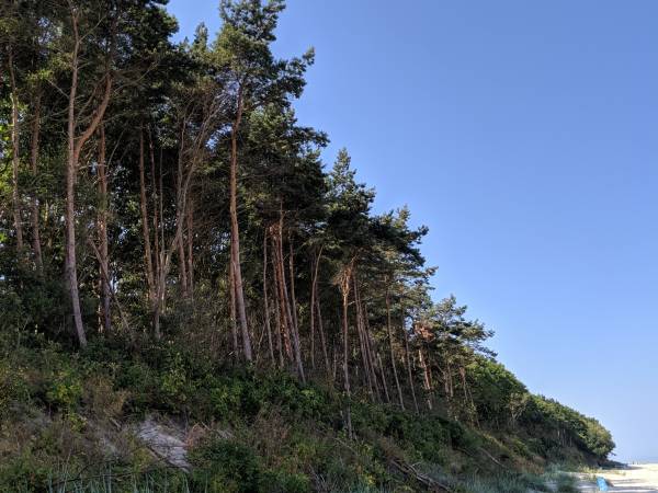 Błękitne Żagle Sarbinowo