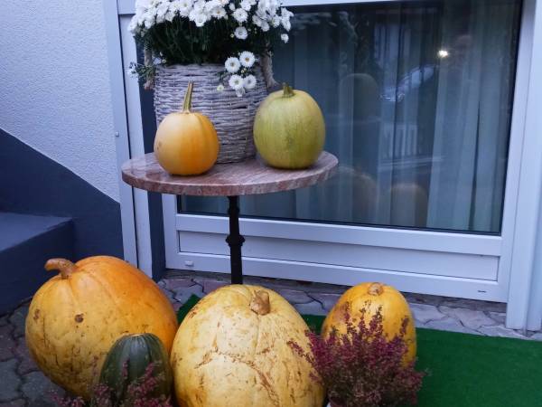 Apartamenty Corner House