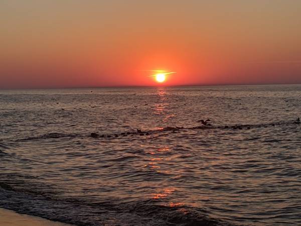 Błękitne Żagle Sarbinowo