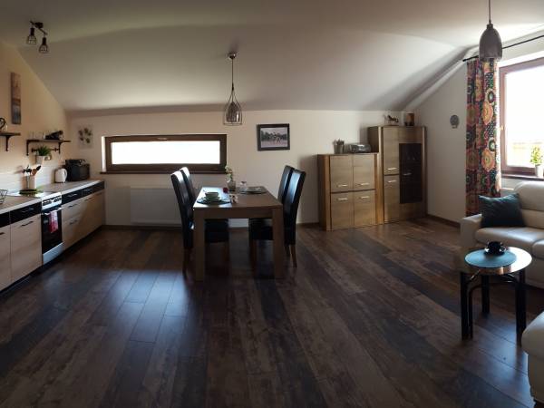 Apartament(salon z aneksem kuchennym