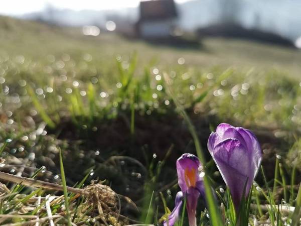 Brak innych budynków obok domku ;)