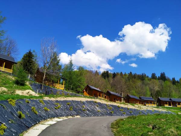Domki pod Jaworem