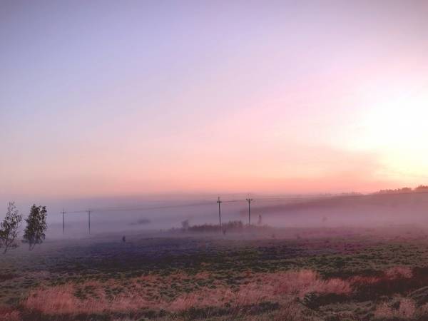 Widok z balkonu Apartament ,,Dzikość Północy''