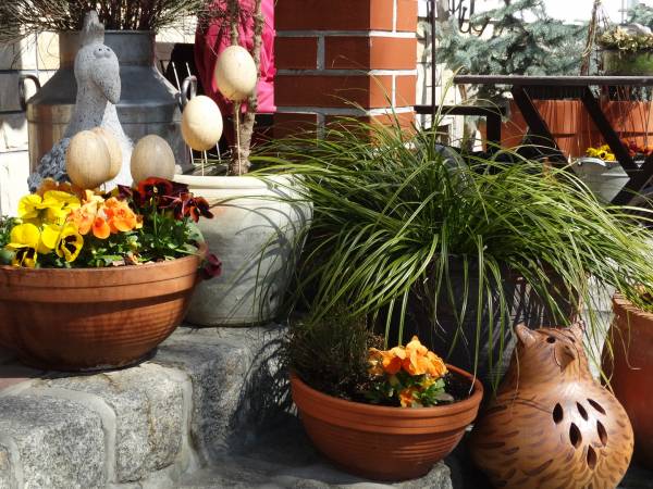 Gospodarstwo Ekoturystyczne Pod Srebrną Górą