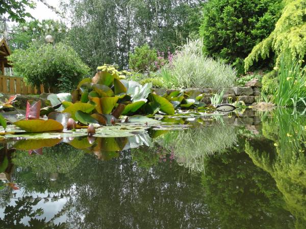 Gospodarstwo Ekoturystyczne Pod Srebrną Górą