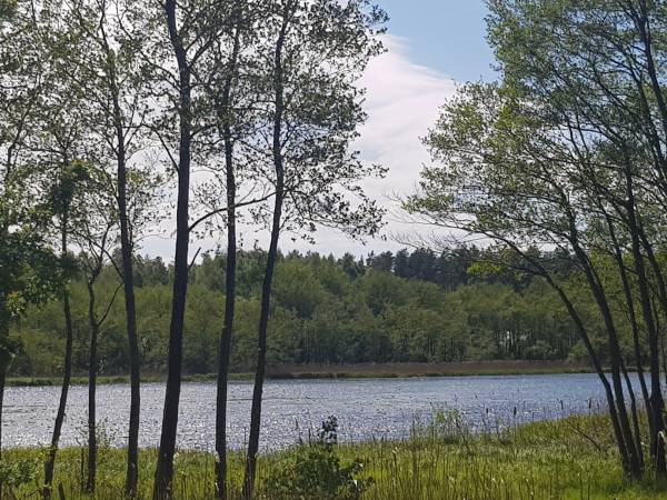 Jezioro Kopalinskie 100 m od domków