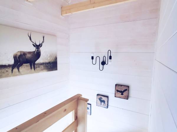 Apartament ,,Dzikość Północy''