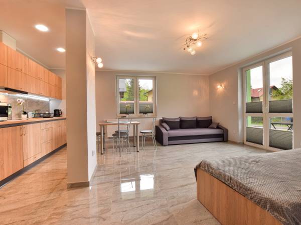 salon w apartamencie