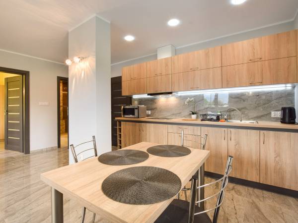 kuchnia w apartamencie