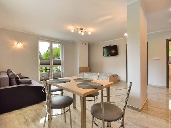 salon w apartamencie