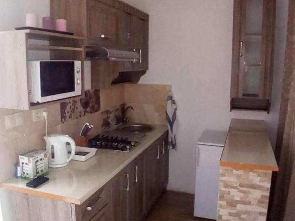 studio czteroosobowe - aneks kuchenny