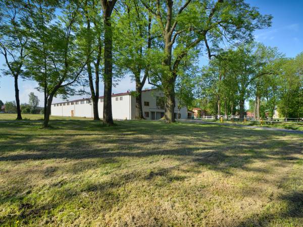 Stadnina Koni Ochaby