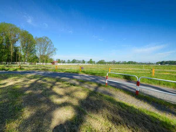 Stadnina Koni Ochaby