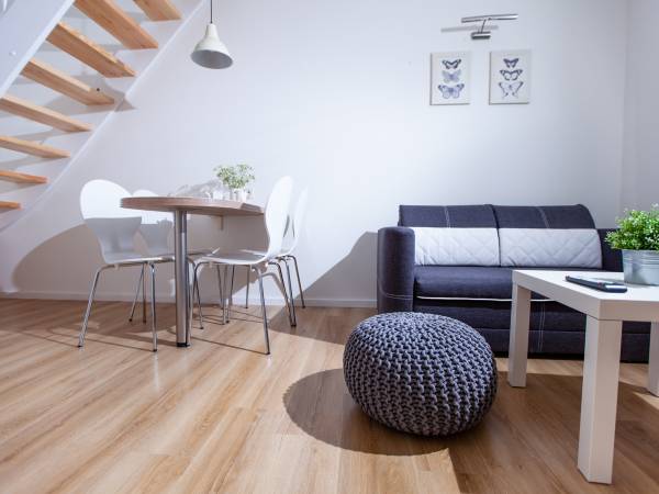 Willa Rogowskich apartamenty i domki 