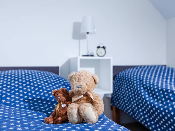 Willa Rogowskich apartamenty i domki 