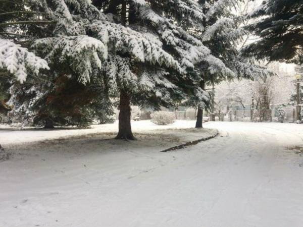 Kompleks Hotelowy CHROBRY